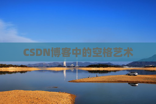 CSDN博客中的空格艺术